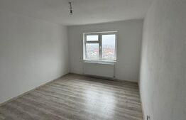 Apartament de vanzare, 2 camere, 41 mp, nou renovat, zona Plopilor