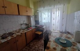 Apartament cu 2 camere, vedere spre Victoria Pietonala, Ultracentral