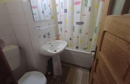 Apartament cu 2 camere, vedere spre Victoria Pietonala, Ultracentral