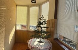 Apartament spatios in vila, 6 camere, 270 mp, zona Grivita