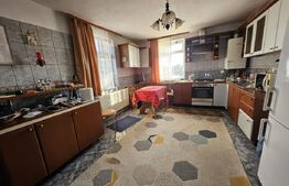 Apartament spatios in vila, 6 camere, 270 mp, zona Grivita