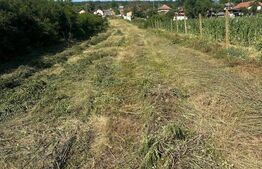 Teren 2280 mp, zona Balesti