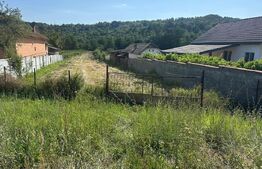 Teren 2280 mp, zona Balesti