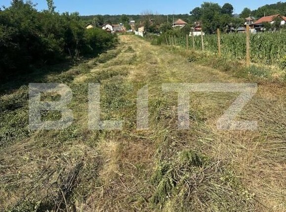 Teren de vânzare Exterior Vest - 180965TV | BLITZ Târgu Jiu | Poza2