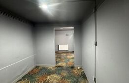 Spatiu comercial, 74 mp, Rovinari