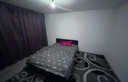 Casa Balesti 200mp, 1000mp teren