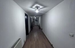 Casa Balesti 200mp, 1000mp teren