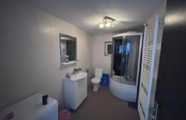 Casa Balesti 200mp, 1000mp teren