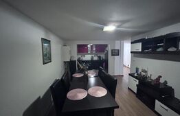 Casa Balesti 200mp, 1000mp teren