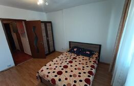 Garsoniera gata pentru mutare