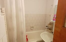 Apartament cu 2 camere, vedere spre Victoria Pietonala, Ultracentral