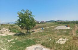  Teren 610 mp, zona pepiniera Cornesti