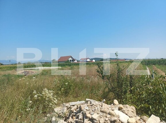 Teren de vânzare Exterior Vest - 182364TV | BLITZ Târgu Jiu | Poza4