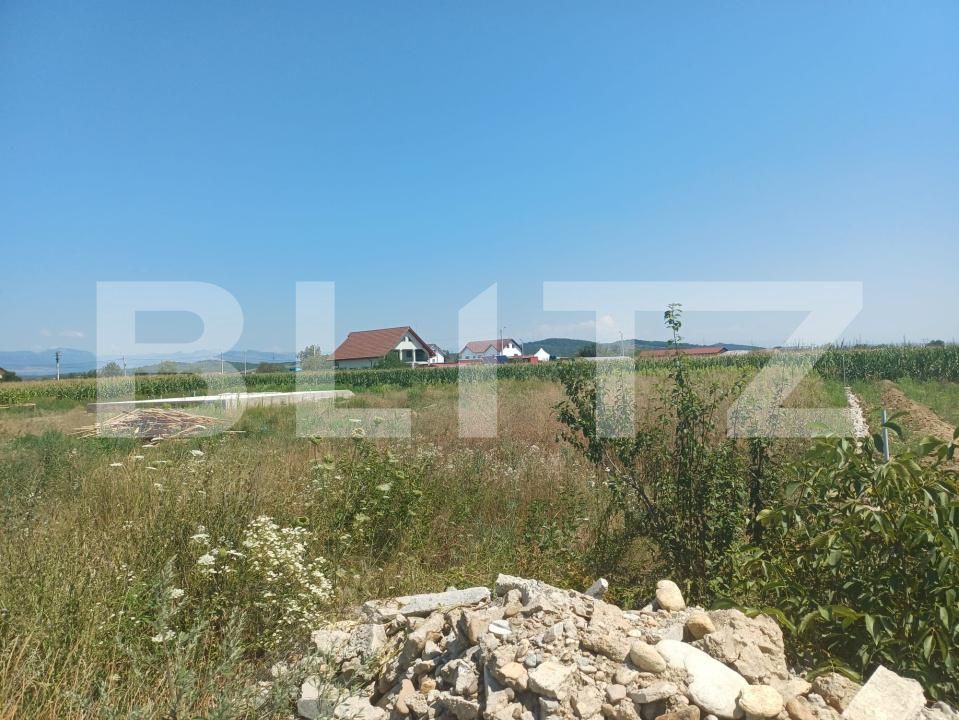 Teren de vânzare Exterior Vest - 182364TV | BLITZ Târgu Jiu | Poza4