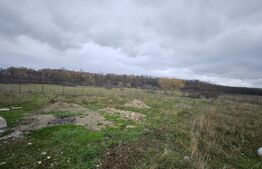 Teren intravilan, Dragutesti, 1184 mp