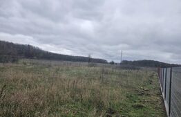 Teren intravilan, Dragutesti, 1184 mp