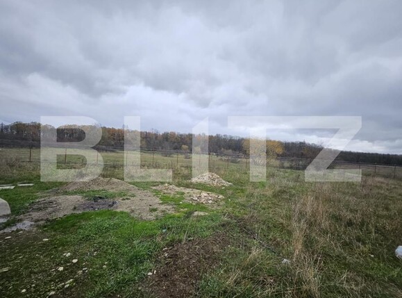 Teren de vânzare Sud - 182562TV | BLITZ Târgu Jiu | Poza1