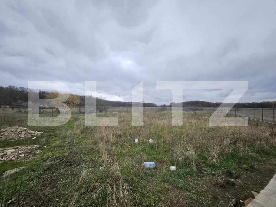 Teren de vânzare Sud - 182562TV | BLITZ Târgu Jiu | Poza2
