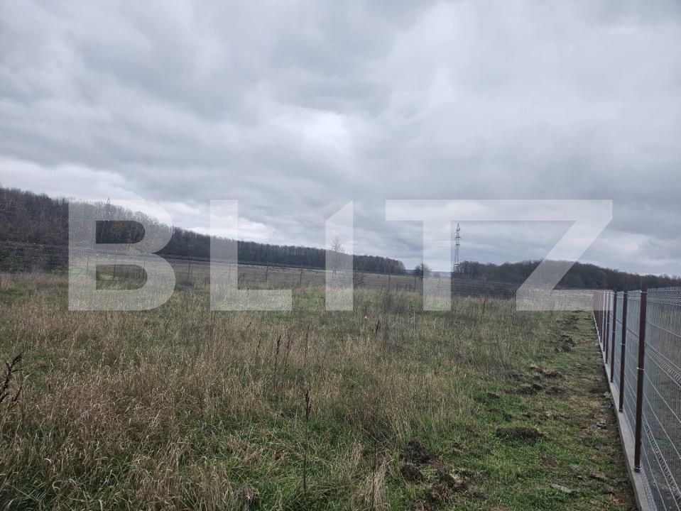Teren de vânzare Sud - 182562TV | BLITZ Târgu Jiu | Poza3
