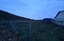 Teren  Intravilan de vanzare, 485 mp, Balesti