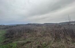 Teren extravilan de vanzare, 10.000 mp - Turcinesti