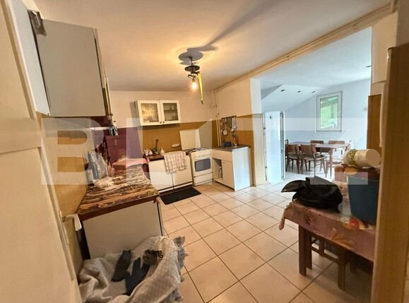 Casa de vânzare 5 camere Exterior Vest - 183688CV | BLITZ Târgu Jiu | Poza3