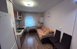 Apartament 2 camere, 50 mp, zona Lacul Debarcader