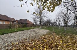 Teren intravilan, 1300 mp, zona Prajba Mare 