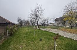Teren de vânzare Bârsești - 105887TV | BLITZ Târgu Jiu | Poza4