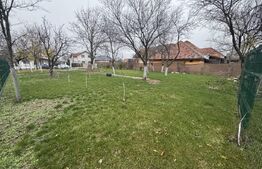 Teren intravilan, 1300 mp, zona Prajba Mare 