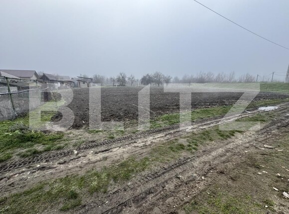 Teren de vânzare Exterior Sud - 184359TV | BLITZ Târgu Jiu | Poza1