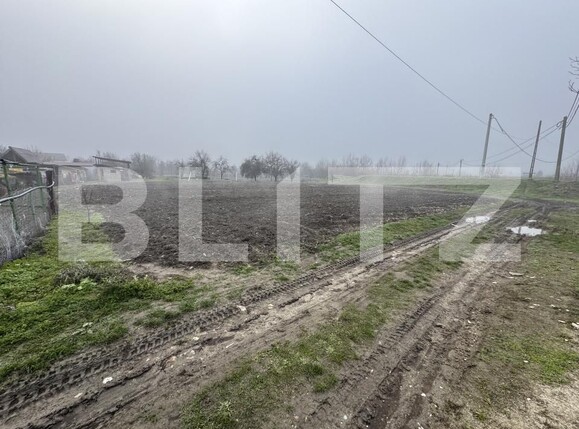 Teren de vânzare Exterior Sud - 184359TV | BLITZ Târgu Jiu | Poza3