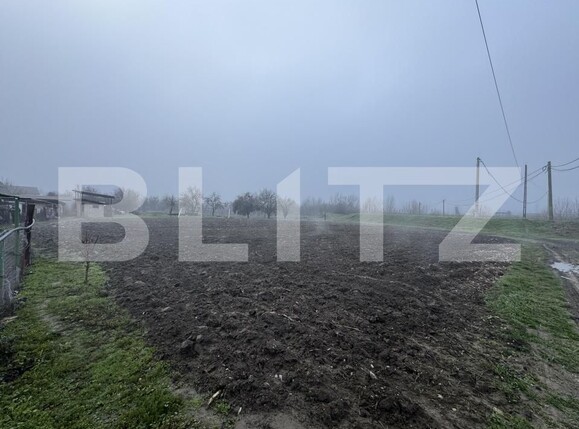 Teren de vânzare Exterior Sud - 184359TV | BLITZ Târgu Jiu | Poza2