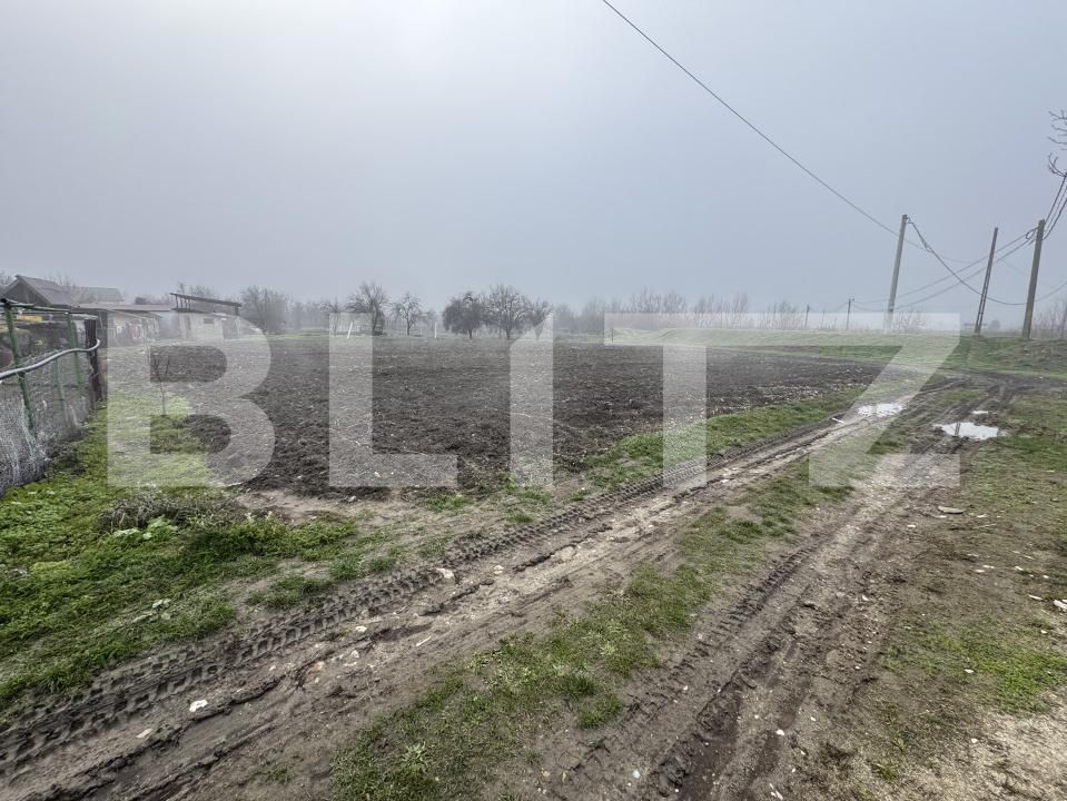 Teren de vânzare Exterior Sud - 184359TV | BLITZ Târgu Jiu | Poza3