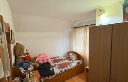 Case + teren de vanzare in zona Carbesti