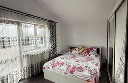 Case + teren de vanzare la 11 km de Tg Jiu