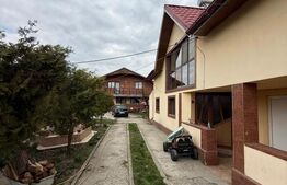 Case + teren de vanzare la 11 km de Tg Jiu
