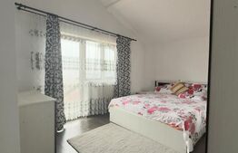 Case + teren de vanzare la 11 km de Tg Jiu