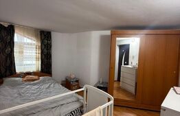Case + teren de vanzare la 11 km de Tg Jiu