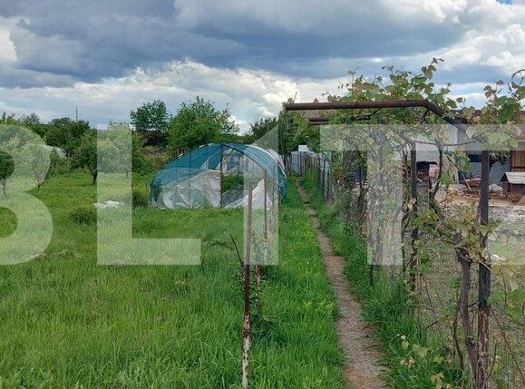 Casa de vânzare 6 camere Exterior Sud - 184421CV | BLITZ Târgu Jiu | Poza10