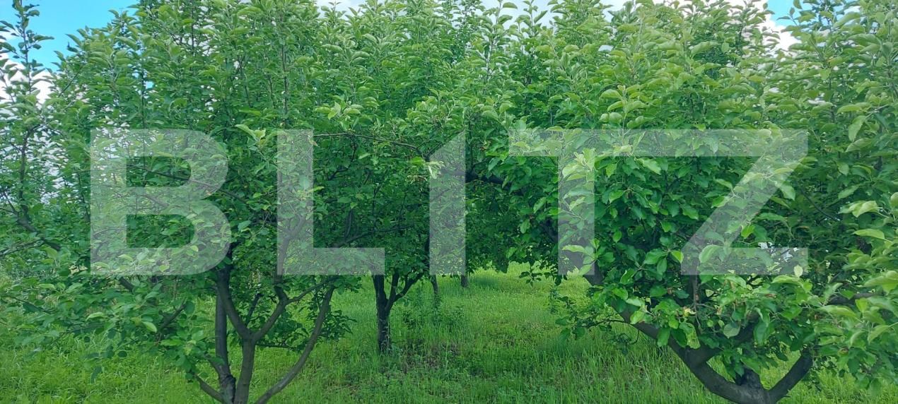 Casa de vânzare 6 camere Exterior Sud - 185278CV | BLITZ Târgu Jiu | Poza11