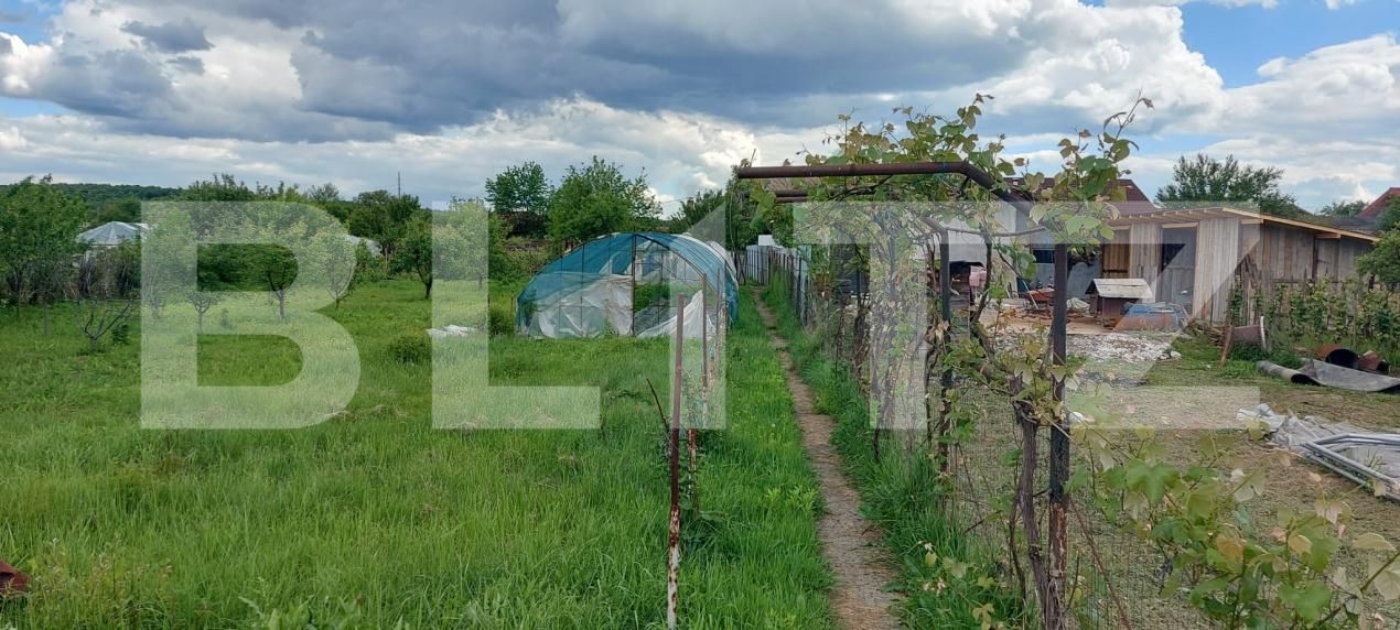 Casa de vânzare 6 camere Exterior Sud - 185278CV | BLITZ Târgu Jiu | Poza14