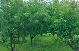 Casa de vanzare, la 11 km de Targu Jiu