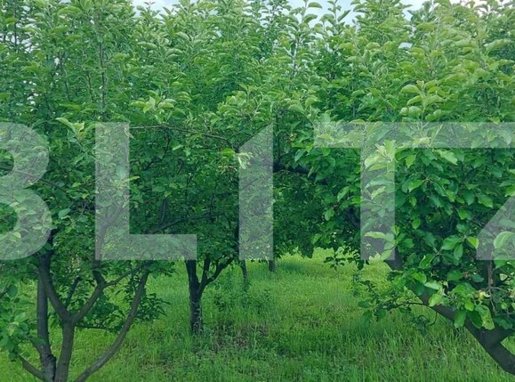 Casa de vânzare 5 camere Exterior Sud - 185279CV | BLITZ Târgu Jiu | Poza8