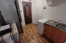 Garsonieră confort 2, zona Lotrului