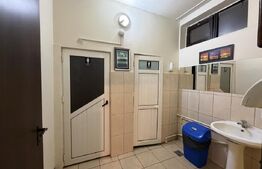 Spatiu comercial, 120 mp, zona Nicolae Titulescu 