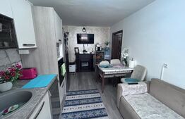 Apartament 2 camere - Comuna din Paris