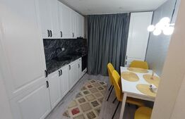 Apartament 2 camere, 47 mp, zona Central