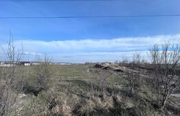 Teren Dragoeni - 3400 mp