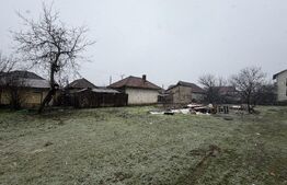 Teren de vânzare Bârsești - 105887TV | BLITZ Târgu Jiu | Poza1
